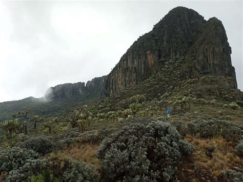 Hike 084: Mount Elgon – Hiking Adventures