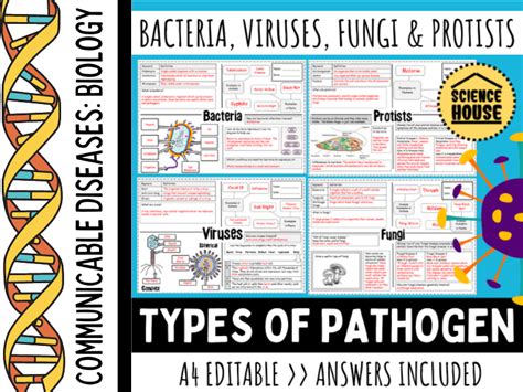 Pathogen Types: Viruses, Bacteria, Fungi and Protists Diseases | Teaching Resources