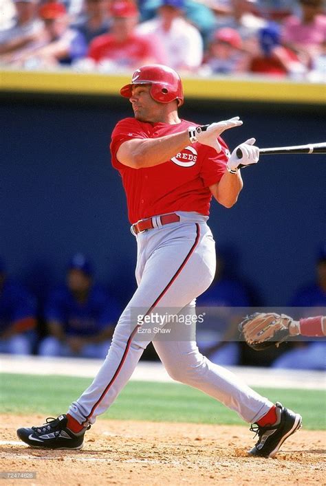 Dante Bichette of the Cincinnati Reds swings at the ball during the ...