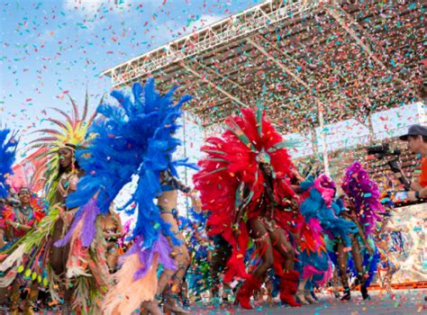 ABOUT US - Tampa Bay Caribbean Carnival