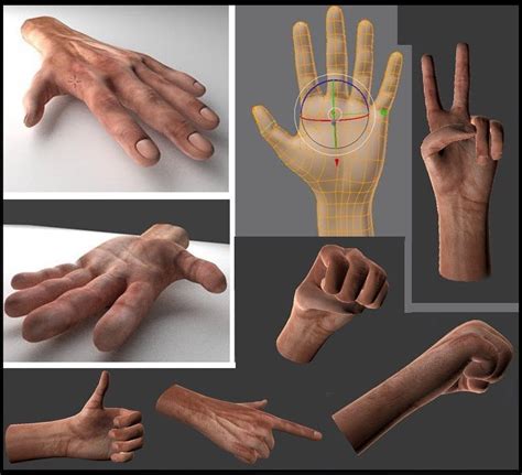 Human hand 3d model free download blender - spicevsa