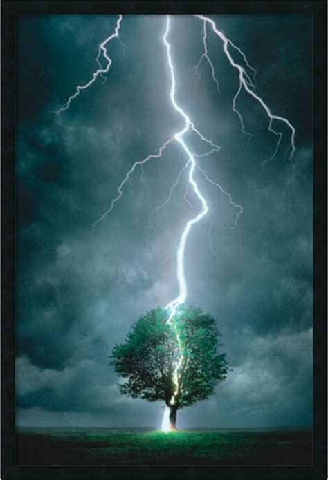 37x25 inch Lightning Striking Tree Framed Art Gel Coated | Trees, Natural and Lightning