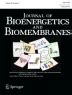 Structure and function of ferrochelatase | Journal of Bioenergetics and Biomembranes