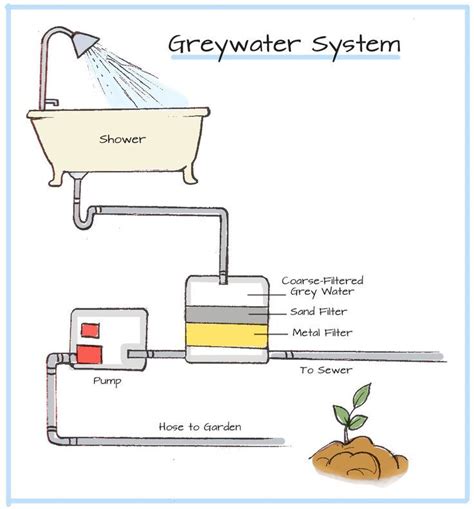 Everything You Need to Know to Build a Backyard Greywater Wetland ...