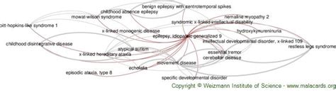 Epilepsy, Idiopathic Generalized 9 disease: Malacards - Research Articles, Drugs, Genes ...