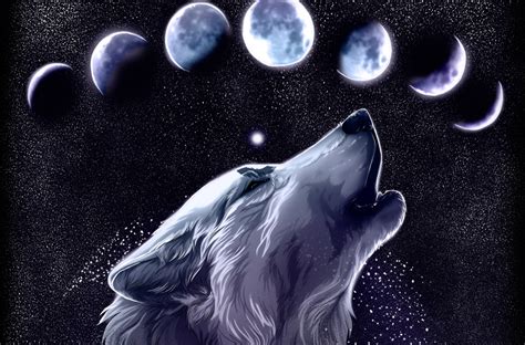 Wolf Backgrounds - Wallpaper Cave