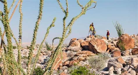 Anza Borrego State Park (Ultimate Visitors' Guide)