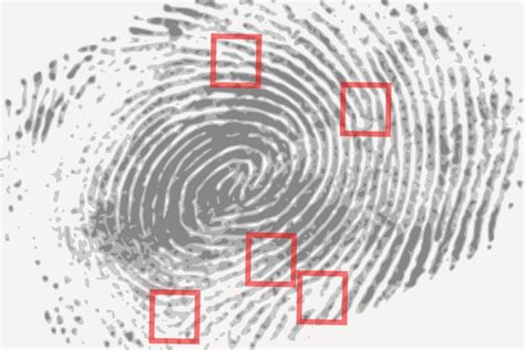 1. Introduction — Fairness & Algorithmic Decision Making