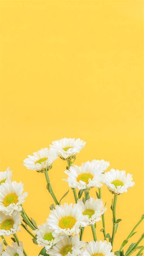 Pin de cryxandelee en Wallpapers ⎈ | Fondo de pantalla amarillo iphone ...