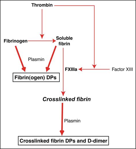 Fibrinolytic pathway | eClinpath