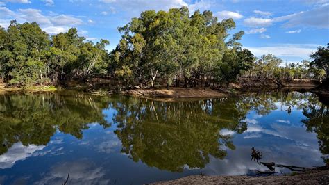 Camping Murray River - Albury to Echuca Free River Camping locations