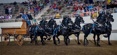 Eaglesfield Percherons: Sunny Saturday at the Alberta Draft Horse Classic