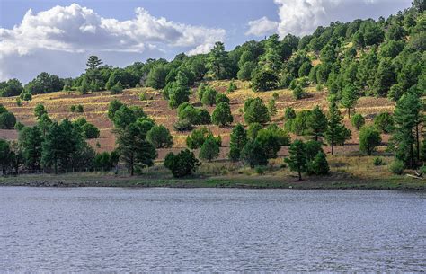 Tree lined Kaibab Lake. Photograph by Richard Tatro