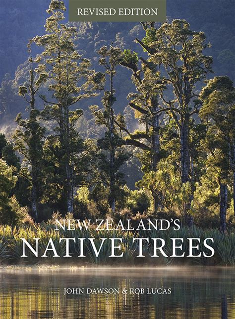 New Zealand's Native Trees (revised edition) - Potton & Burton
