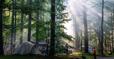 Smoky Mountain Campgrounds: Camping in and around the National Park