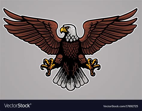 Bald eagle spread his wings Royalty Free Vector Image