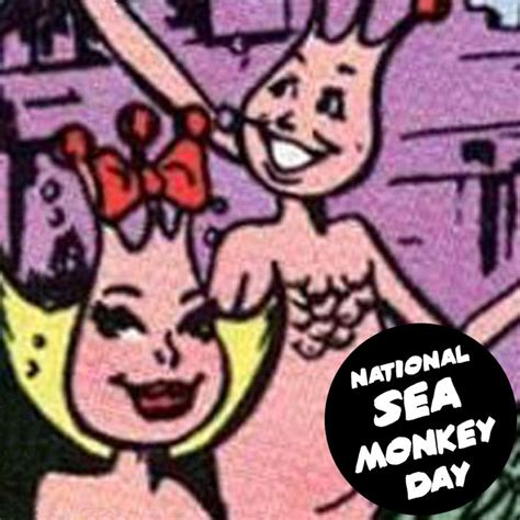 National Sea Monkey Day - May 16, 2020 | Sea monkeys, Sea, Monkey