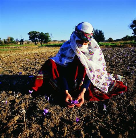 Khorasan Razavi Women Traditional costume Iranian Clothes, Persian People, Persian Culture ...