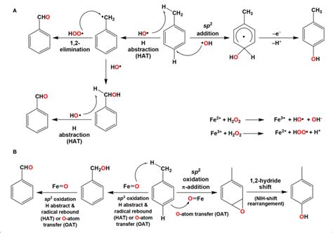 | Ring or chain activation of toluene by (A) ROS accumulated by... | Download Scientific Diagram