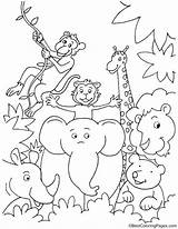 Jungle Animal Coloring Pages For Kids sketch template