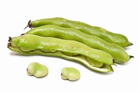 Sharing Some of Our Favorite Broadbean Salad Recipes - The Proud Italian