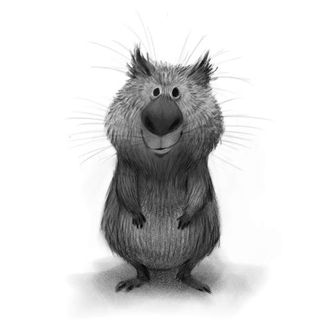 ArtStation - Wombat Sketch, Sam Nassour | Character design animation, Animal illustration, Wombat