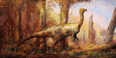 Plateosaurus dinosaurs , facts | pictures -Plateosaurus habitat.