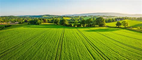 Aerial panorama over healthy green crops in patchwork pasture farmland ...