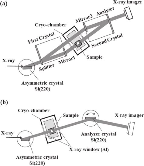 Schematic diagram showing the experimental setup for phase contrast... | Download Scientific Diagram