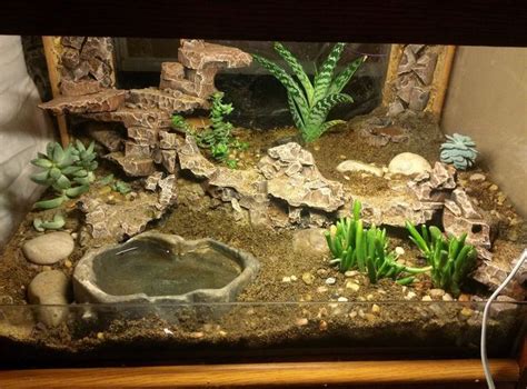 The 25+ best Leopard gecko habitat ideas on Pinterest | Leopard gecko cage, Gecko habitat and ...