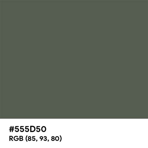 Ebony color hex code is #555D50