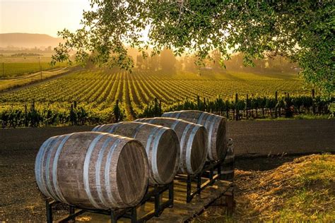 5 of the Best Wine Tours & Tastings in Fredericksburg, Texas