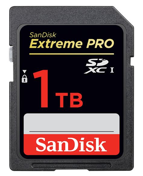 Sandisk 1TB SDXC – Fixation