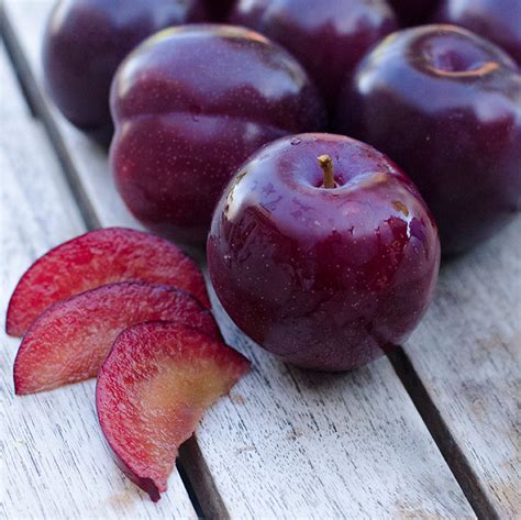 3 Qualities that Make Santa Rosa Plums Better than Others | Expert Tips ...