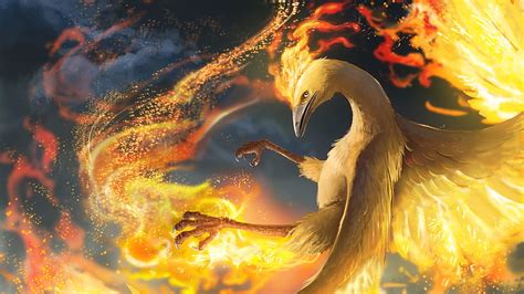 Fire Moltres Pokemon, HD wallpaper | Peakpx