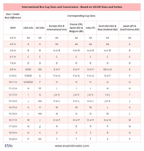 Bra Cup Size Chart Number