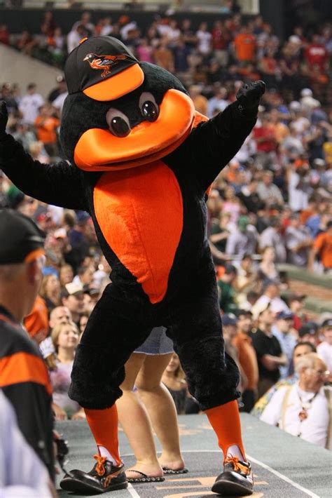 Oriole Mascot | Mascot, Orioles, Orioles baseball