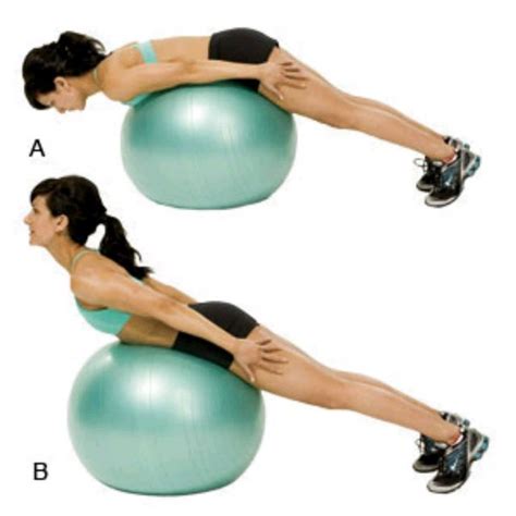 Ball Back Extension by Saeed H. - Exercise How-to - Skimble