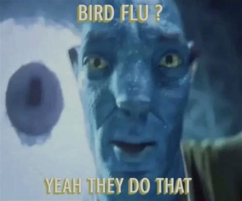 Avatar meme "Bird Flu ? Yeah They Do That" | Staring Avatar Guy | Know Your Meme