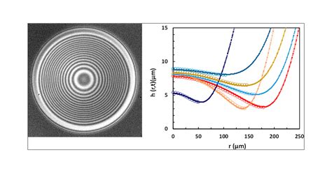 Interferometry and Simulation of the Thin Liquid Film between a Free ...