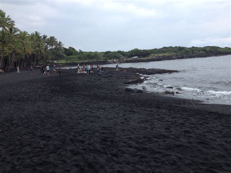 Punaluu black sand beach in Kona Hawaii | Black sand beach, Kona hawaii ...