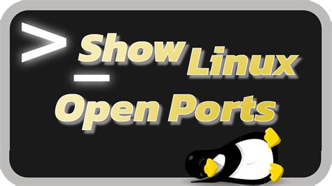 Show Open Ports in Linux - tkcyber