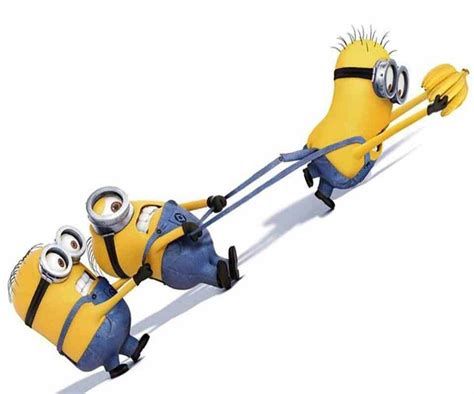 Just funny | Despicable minions, Minions funny, Minions