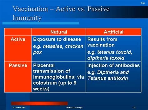 Artificial Passive Immunity Example : Human Defence System :: lcbiology ...