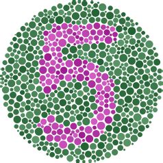 Mild Deutan (Deuteranomaly) Test Results | EnChroma® Color Blind Test – EnChroma® Color Blind ...