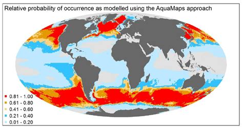 Modelled distribution map for the sei whale. | Download Scientific Diagram