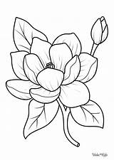 Magnolia Coloring Pages Free Printable PDFs  WakeTheKids sketch template