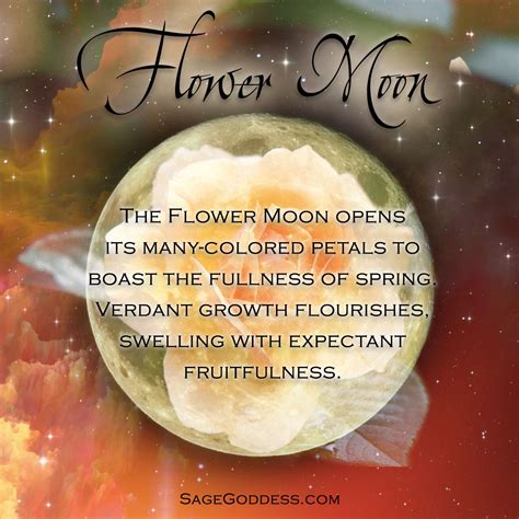 Flower Moon | Flower moon meaning, Frost moon, May moon