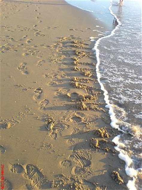 Beach of Scheveningen