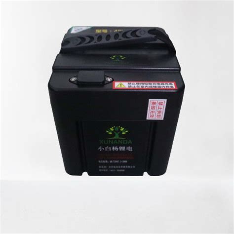 BMS 48V Li Ion Battery 720Wh Lithium Ion Battery For Electric Motorcycle